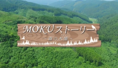 MOKUストーリー