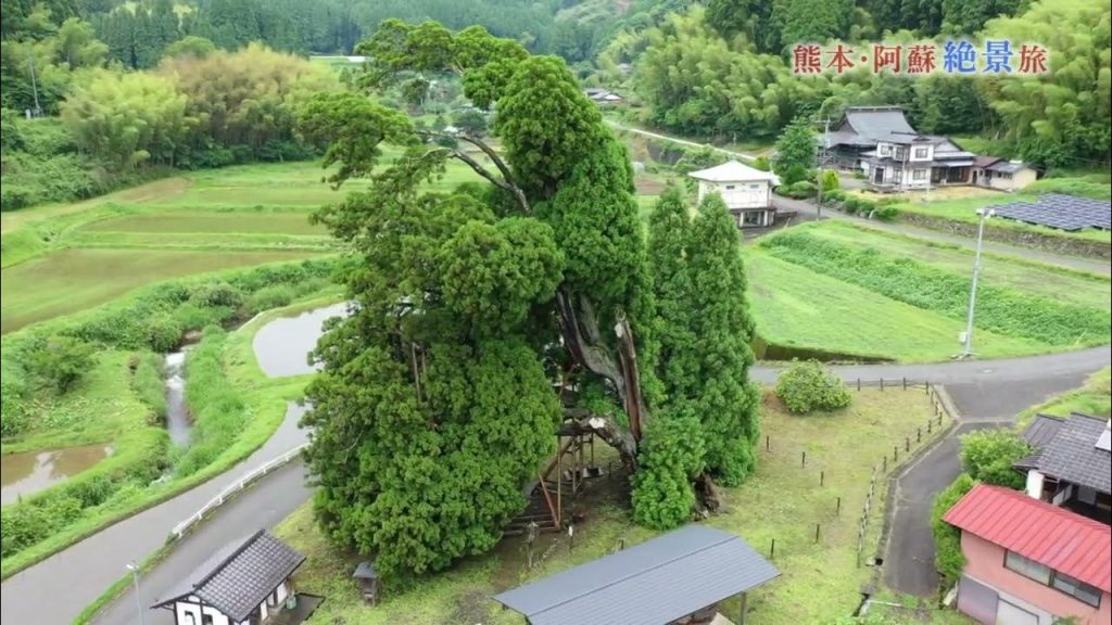 熊本・阿蘇絶景旅